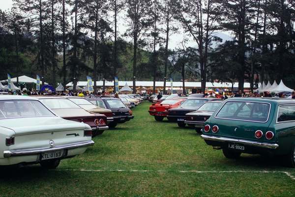 Avis grow gorgeous : un shampooing entre promesses et déceptions